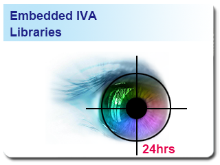 Intelligent Video Analytics